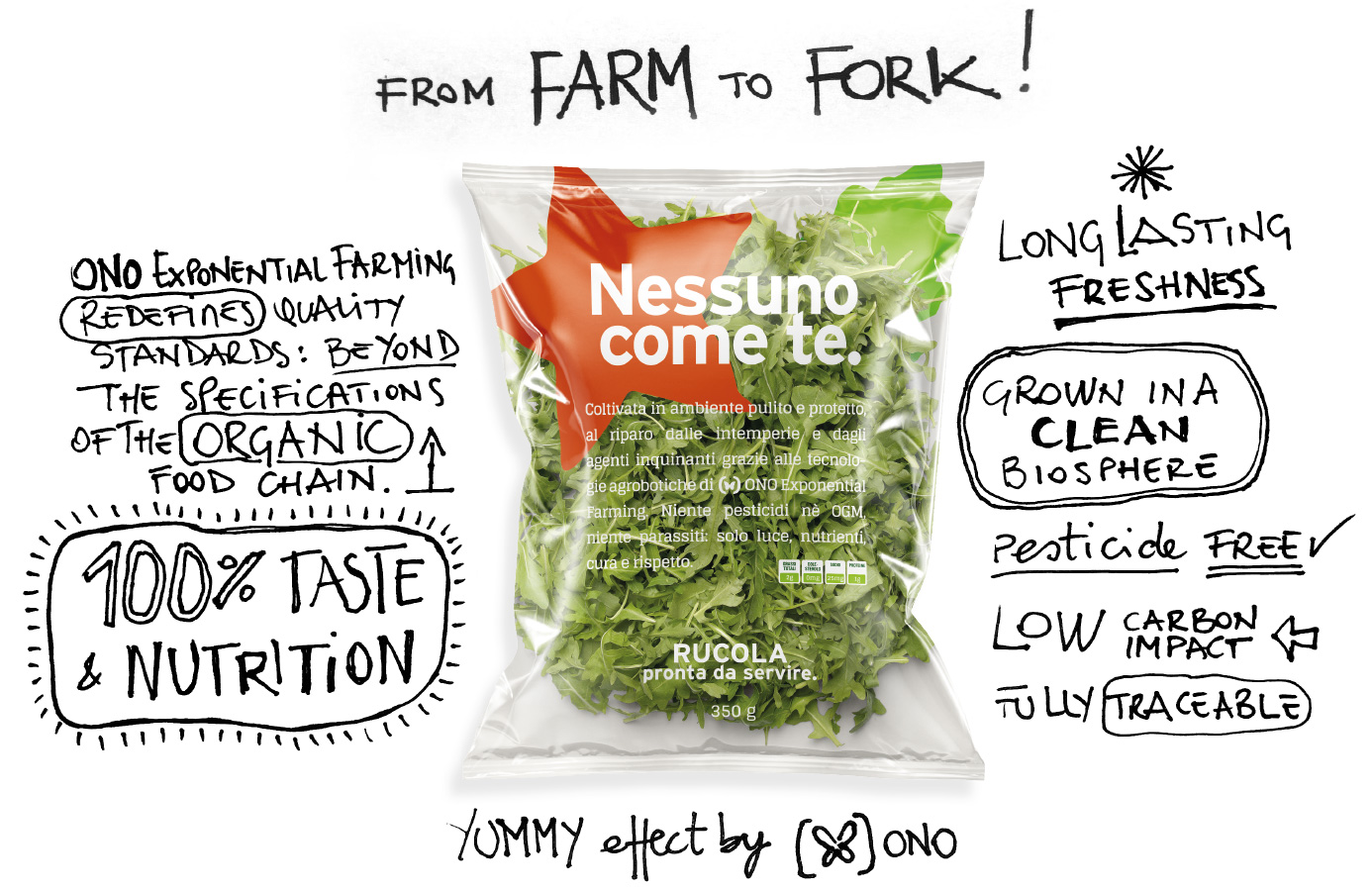 from ONO vertical farm to fork