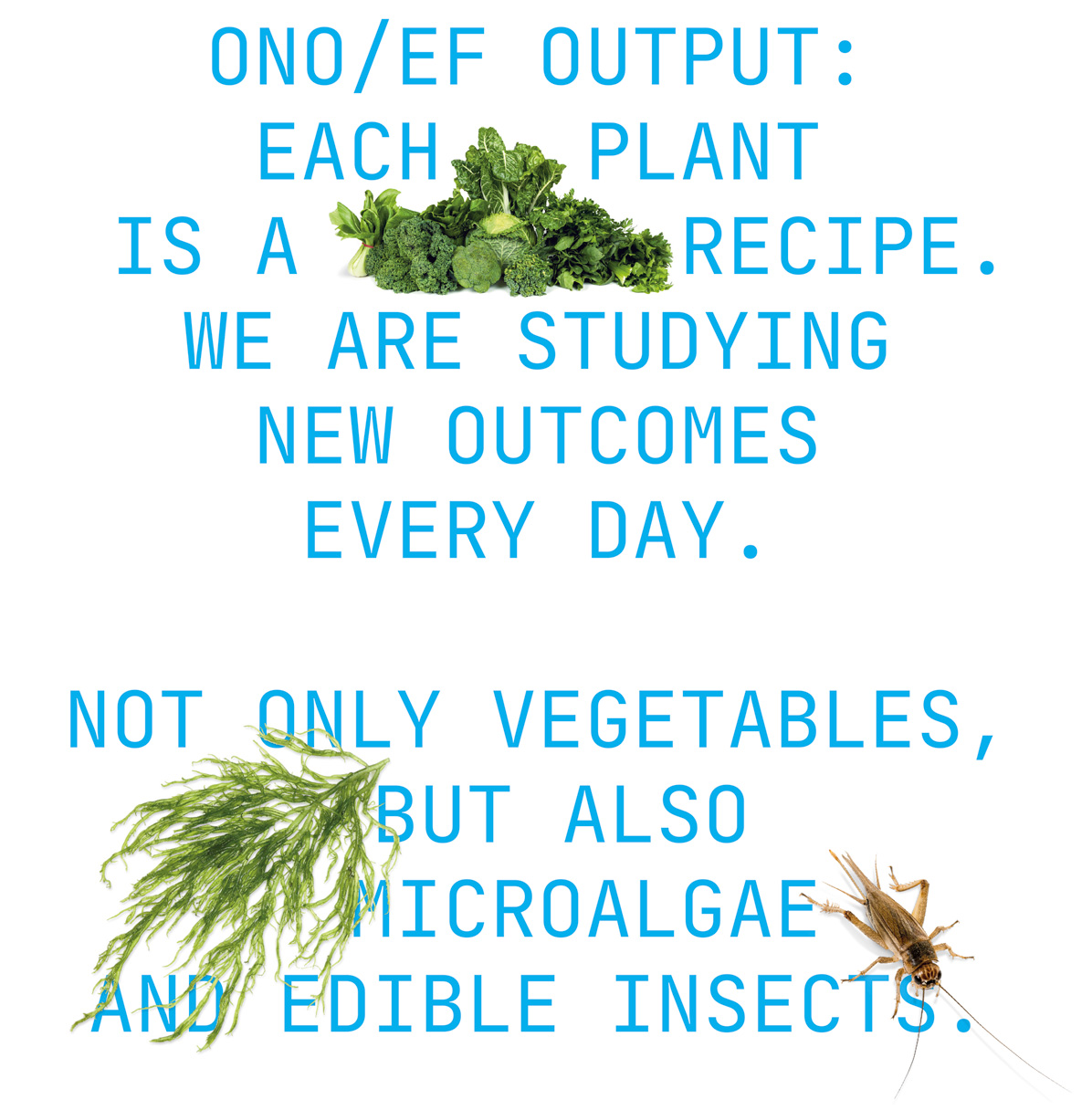 vegatables microalgae insectsvegatables microalgae insects on vertical farming